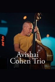 Avishai Cohen Trio – Shifting sands movie poster