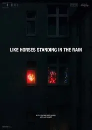 Like Horses Standing in the Rain movie poster