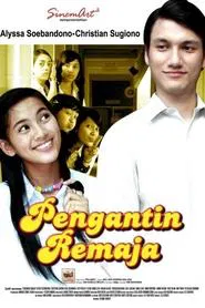 Teenage Bride tv show poster