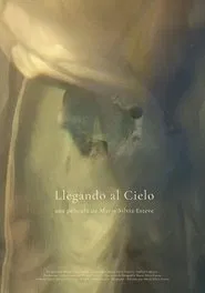Llegando al cielo movie poster