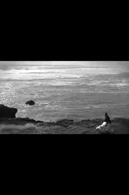 Liebestraume movie poster