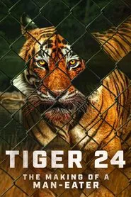 Tiger 24 movie poster
