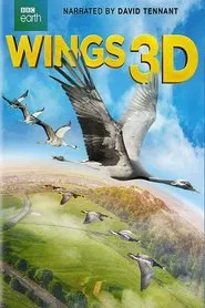 Poster do filme Wings 3D