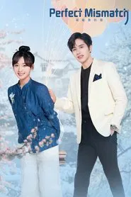 Perfect Mismatch tv show poster