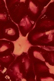 The Love of the Three Pomegranates movie poster