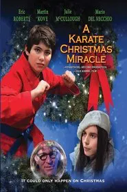 A Karate Christmas Miracle movie poster