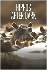 Hippos after Dark movie poster