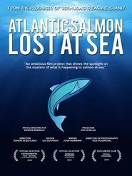 Atlantic Salmon: Lost at Sea movie poster