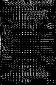 Lossless #4 movie poster
