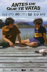 Poster do filme Before You Go