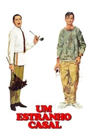 Poster do filme Um Estranho Casal