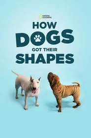 How Dogs Got Their Shapes movie poster