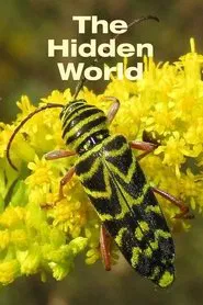 The Hidden World movie poster