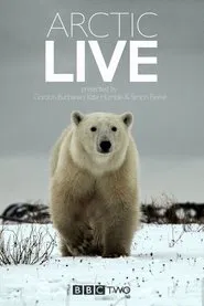 Arctic Live tv show poster