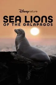 Sea Lions of the Galapagos movie poster