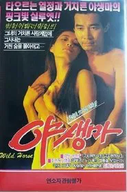 야생마 movie poster