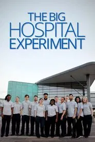 The Big Hospital Experiment tv show poster