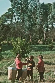 Poster do filme Kolkhida