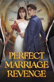 Perfect Marriage Revenge tv show poster