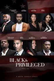 Black & Privileged: Volume 1 movie poster