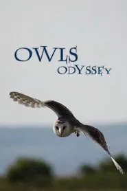 Owl's Odyssey movie poster