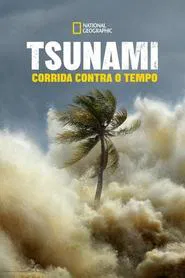 Poster da série Tsunami: Corrida Contra o Tempo