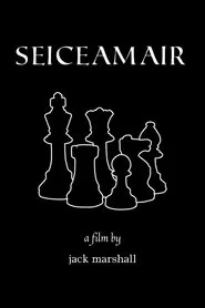 Seiceamair movie poster