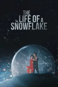 The Life of a Snowflake movie poster
