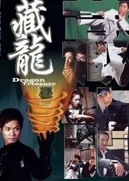 Poster do filme Dragon Treasure