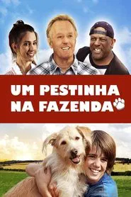 Poster do filme Um Pestinha na Fazenda