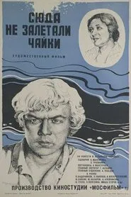 Seagulls Never Fly Here movie poster