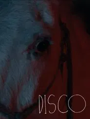 Disco movie poster