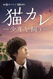 Taking in a Stray tv show poster