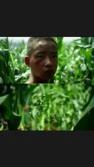 The Cornfield movie poster