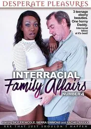 Interracial Family Affairs 4 movie poster
