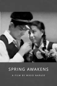 Poster do filme Spring Awakens
