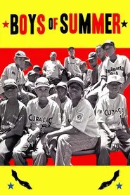 Boys of Summer movie poster