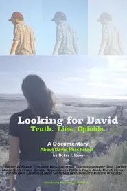 Looking for David movie poster