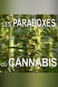Les paradoxes du cannabis movie poster