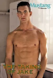 The Taking Of Jake movie poster