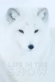 Life In The Snow movie poster