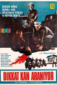 Poster do filme Dikkat Kan Aranıyor