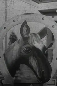 Das Stacheltier - Ein Pferd müßte man haben movie poster