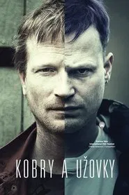 Poster do filme The Snake Brothers