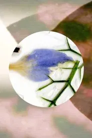 Nature's Optical Toy movie poster