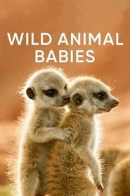 Wild Animals Babies tv show poster