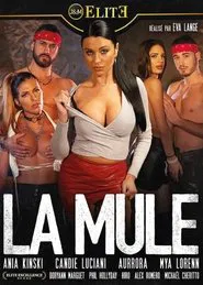 Poster do filme The Mule