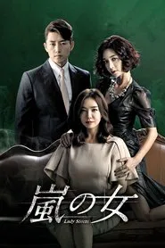 Lady Storm tv show poster