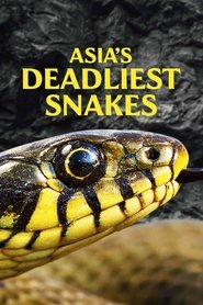Asia's Deadliest Snakes movie poster