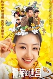 You Mao's Maze tv show poster
